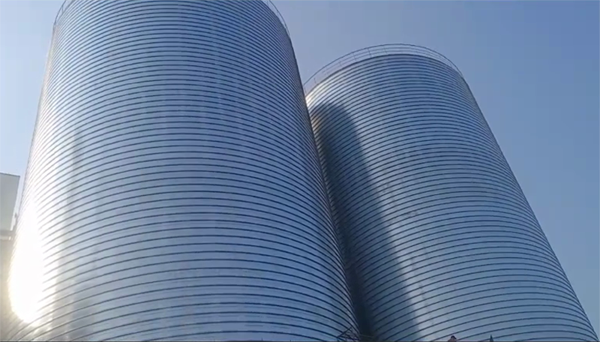 仁和2座混凝土高架卷板仓