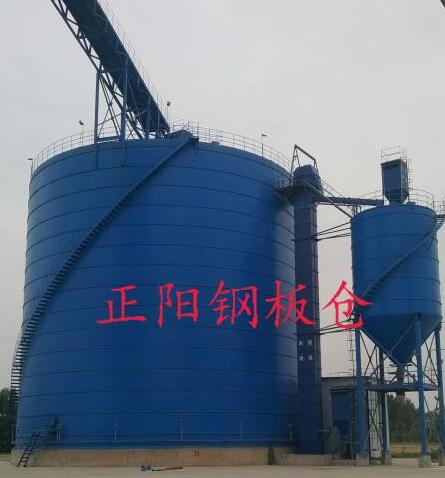 仁和大型矿粉钢板库